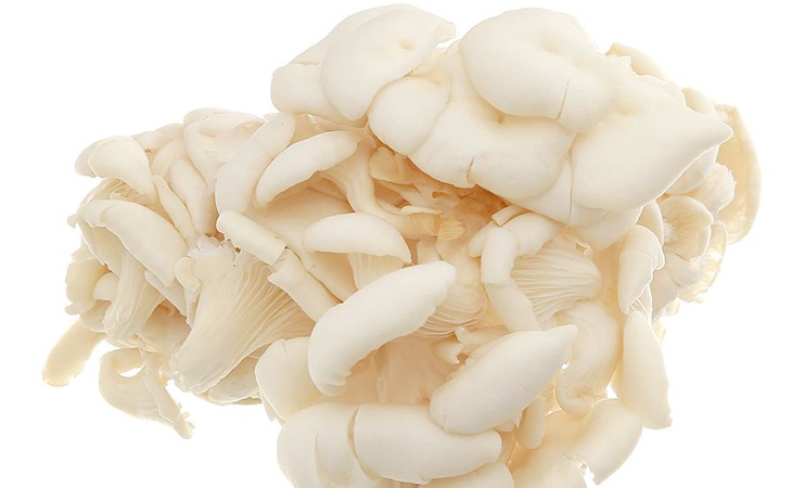 Các loại nấm cũng được các chuyên gia khuyến khích sử dụng, đặc biệt là nấm trắng