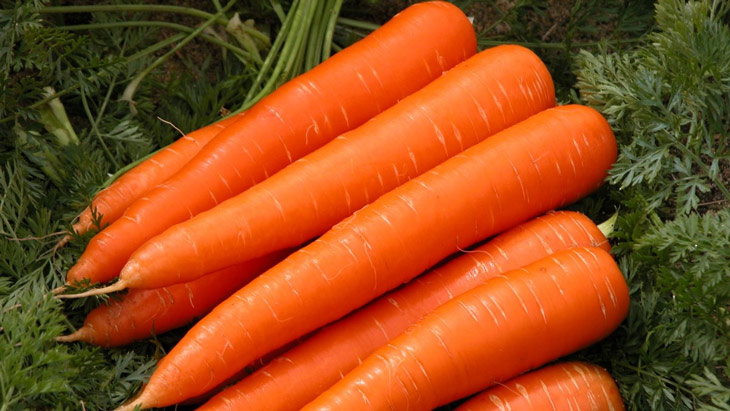 Cà rốt cũng giúp bổ sung carbohydrate lành mạnh