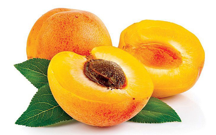 Đối với mẹ bỉm đang cho con bú, mơ là một loại trái cây cần thiết để bổ sung dinh dưỡng
