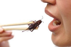 Các cách chữa dị ứng khi ăn côn trùng cần được áp dụng cho từng đối tượng và phụ thuộc vào mức độ nặng nhẹ của mỗi người.
