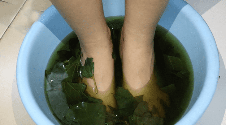Ngâm tay chân vào nước lá lốt đun sôi đều đặn mỗi ngày trước khi đi ngủ