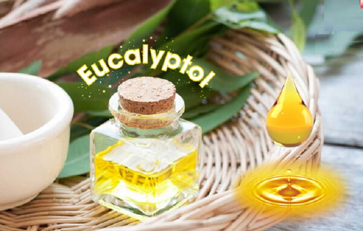 Eucalyptol là gì