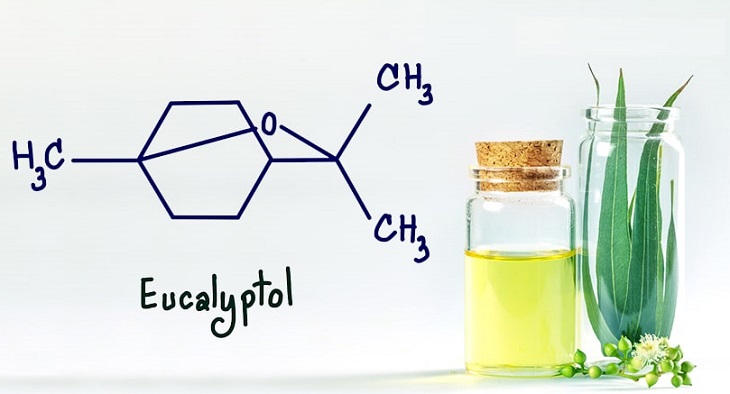 Eucalyptol là gì