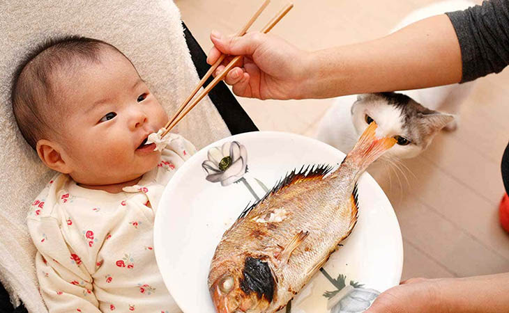 Cá là món ăn được nhiều người yêu thích