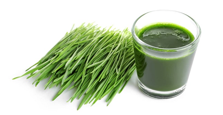 Cỏ lúa mì có tác dụng tốt trong việc giúp làm giảm đau răng
