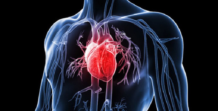 Giảm nguy cơ mắc bệnh tim mạch, huyết áp nhờ việc bổ sung Vitamin D
