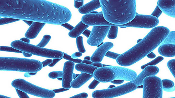 Vi khuẩn có thể sống được ở môi trường thiếu oxy