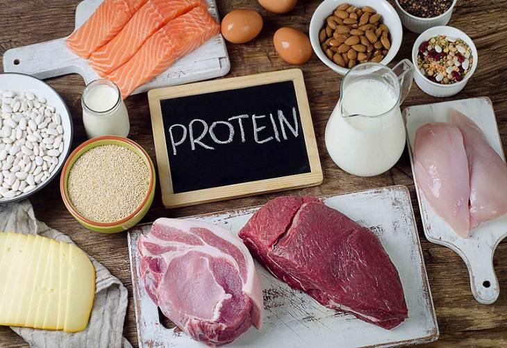 Protein có trong rất nhiều thực phẩm