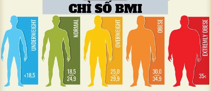 BMI sẽ giúp bạn biết được chỉ số mỡ trong cơ thể