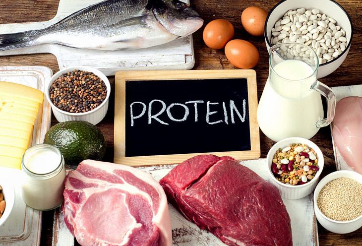 Các thực phẩm có chứa protein mà bạn có thể tham khảo sử dụng