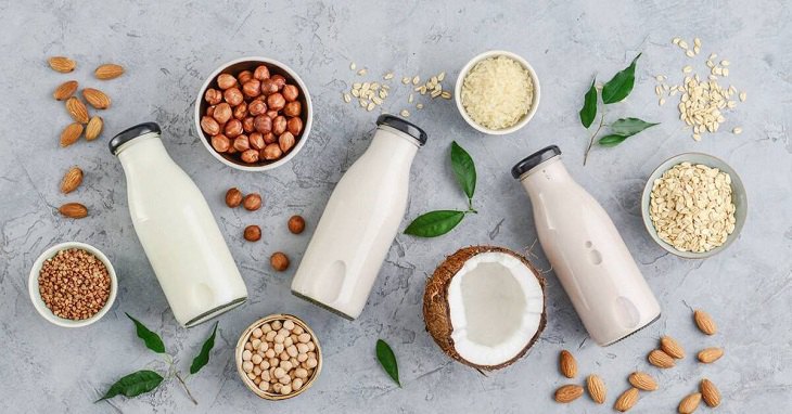 Người ăn chay có thể sử dụng các loại sữa hạt thay thế sữa động vật