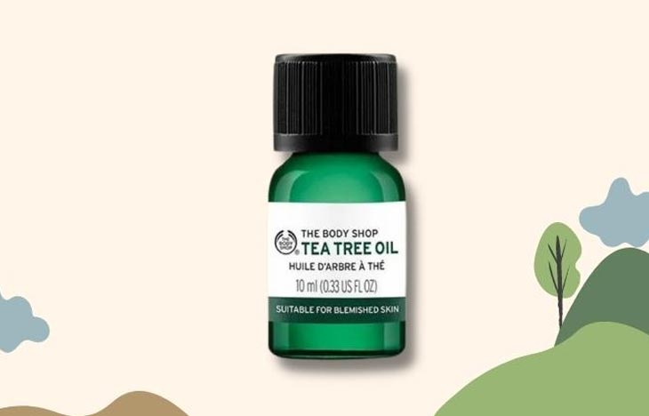 Dầu tràm trà (Tea Tree Oil) có tính kháng khuẩn và kháng viêm mạnh