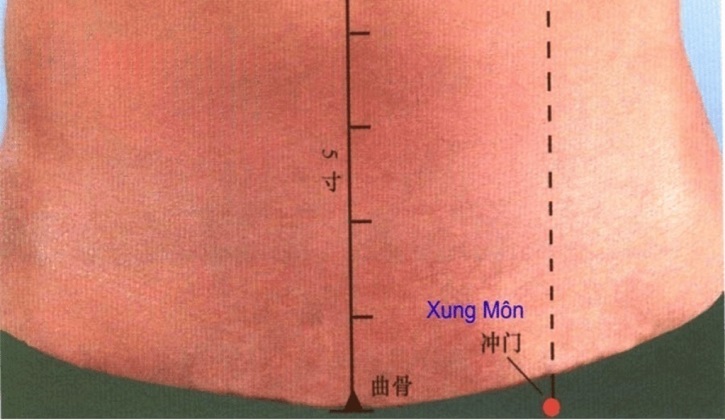 Vị trí huyệt Xung Môn giúp điều trị rối loạn cương dương