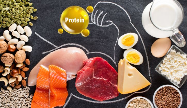 Nhóm thực phẩm chứa protein dồi dào