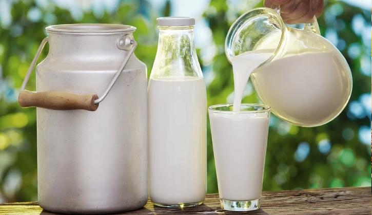 Sữa và chế phẩm liên quan