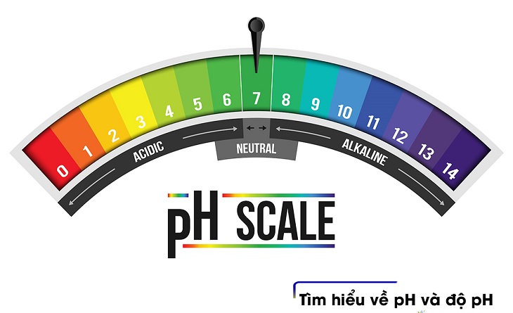 Độ pH của nước máy là chỉ số gì?