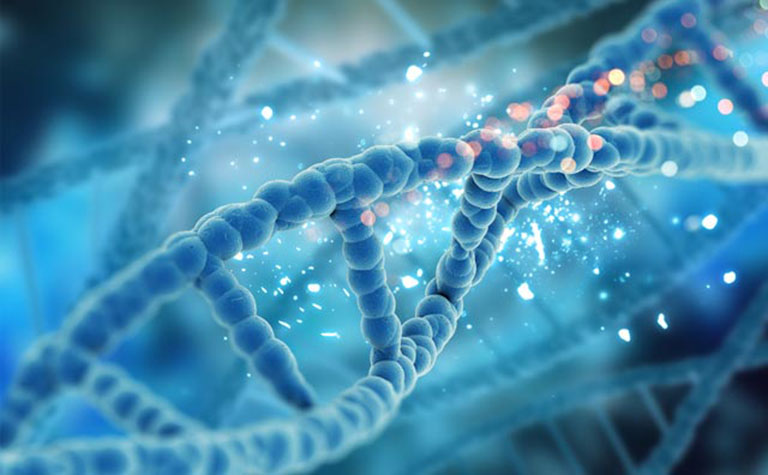 Gen di truyền có tác động đến chiều cao của cơ thể nhưng không hoàn toàn