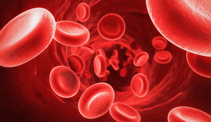 HgB là ký hiệu viết tắt của từ Hemoglobin, tức là một loại phân tử Protein ở hồng cầu