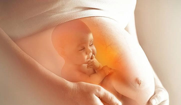 Theo các nghiên cứu, tỉ lệ virus viêm gan B truyền từ cơ thể mẹ sang con trong thời kỳ mang thai được xác định không quá 2%