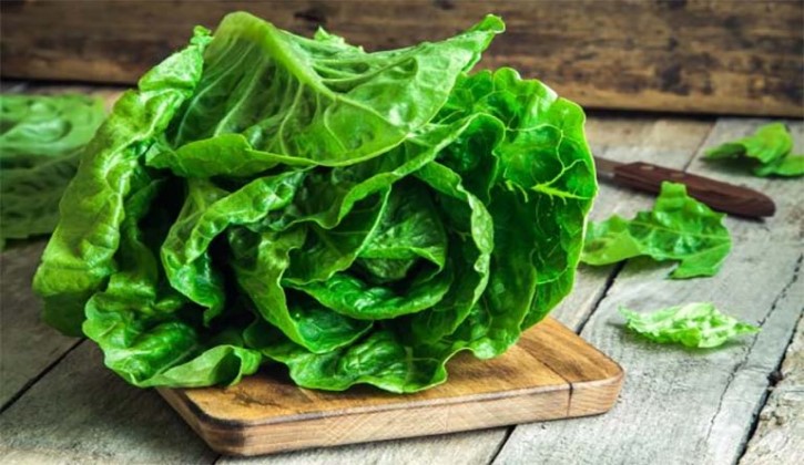 Người bị mụn nhọt nên ăn nhiều rau xanh để tăng cường sức đề kháng da và giảm viêm nhiễm