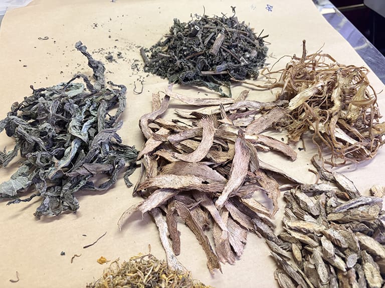 Thuốc đông y chữa bệnh tại Đỗ Minh Đường