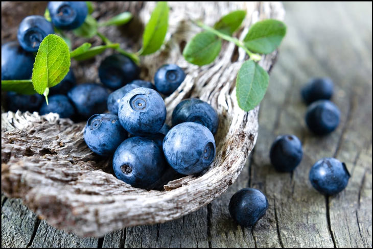 Blueberry (quả việt quất) là một trong những thành phần chính của OTiV