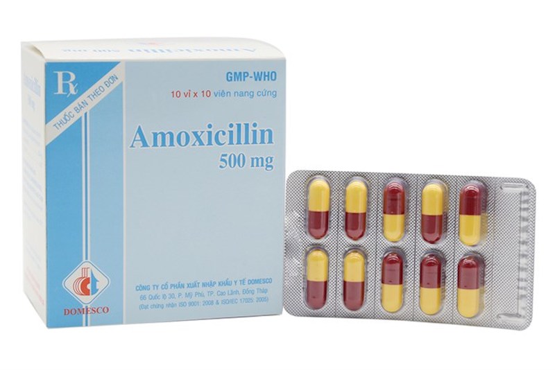 Thuốc kháng sinh Amoxicillin