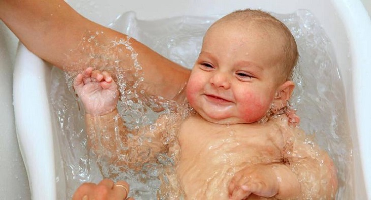 Các mẹ có thể điều chế bài thuốc ngâm rửa cho bé từ cây gối để chữa bệnh chàm