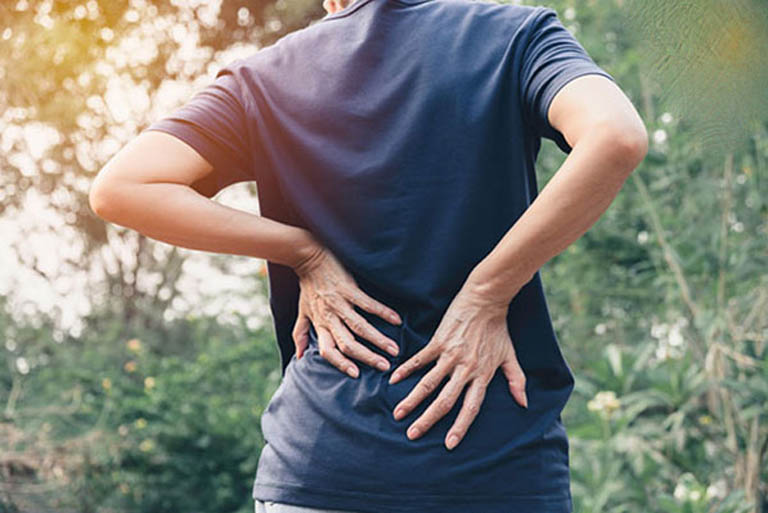 Thành phần dược tính trong lá lốt có khả năng đẩy lùi triệu chứng đau nhức lưng