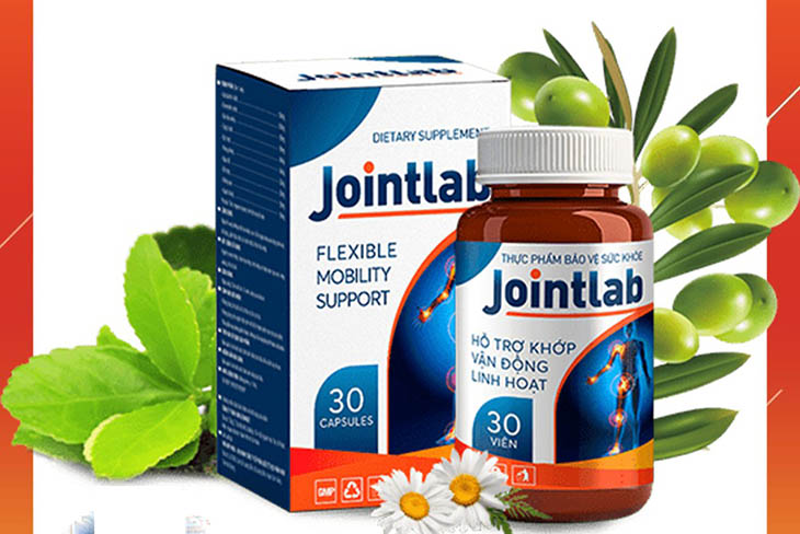 Jointlab có chứa các hoạt chất được bào chế từ các loại dược liệu thiên nhiên