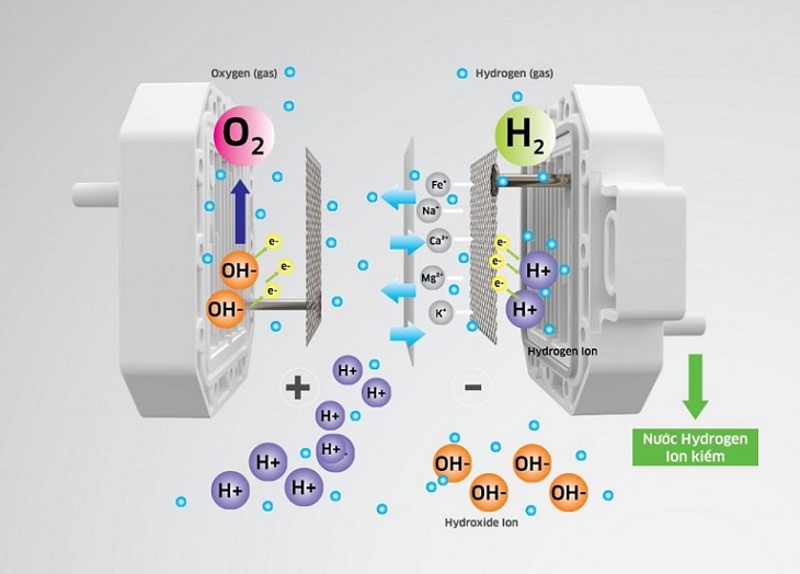 Mô phỏng cấu trúc bên trong buồng điện phân và nguyên lý điện phân của máy