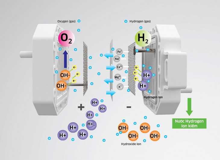 Máy lọc nước điện giải ion kiềm hoạt động theo nguyên tắc điện phân nước