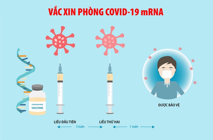 Cơ chế hoạt động của vaccine