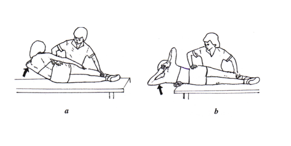 Bài tập ở tư thế nghiêng có tác dụng kéo giãn bên cột sống bị lõm và sức khỏe cơ bắp