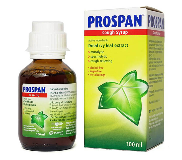 Sirô ho prospan được chiết xuất từ thành phần chính là lá thường xuân