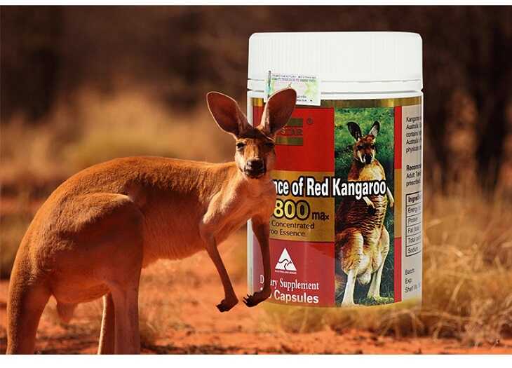 Lấy lại bản lĩnh đàn ông với Essence of Red Kangaroo 20800max