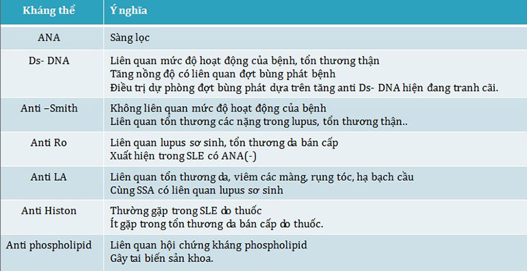 Ý nghĩa của một số loại kháng thể xuất hiện ở bệnh nhân lupus ban đỏ