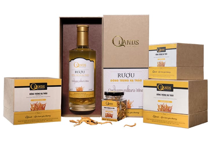 Trùng thảo Qlands sản phẩm được nhiều người tiêu dùng lựa chọn