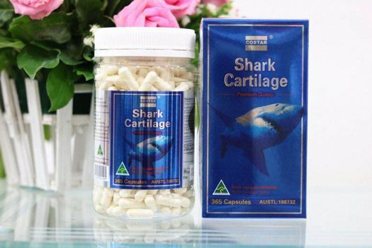 Chăm sóc sức khỏe sụn khớp bằng viên sụn Shark Cartilage là phương pháp được nhiều người tin dùng