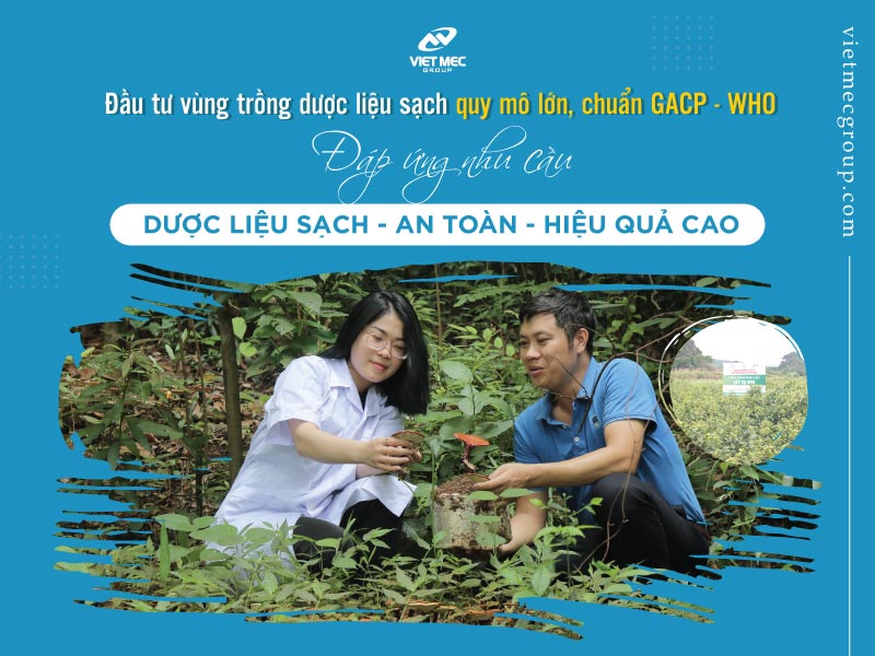 Dược liệu sạch vietmec