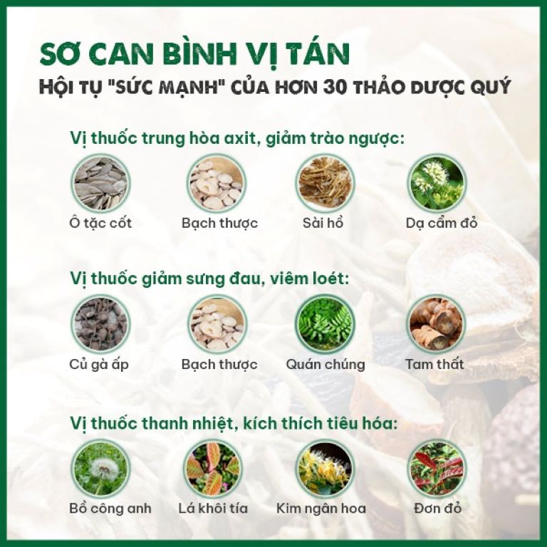 Sơ can Bình vị tán thành phần dược liệu