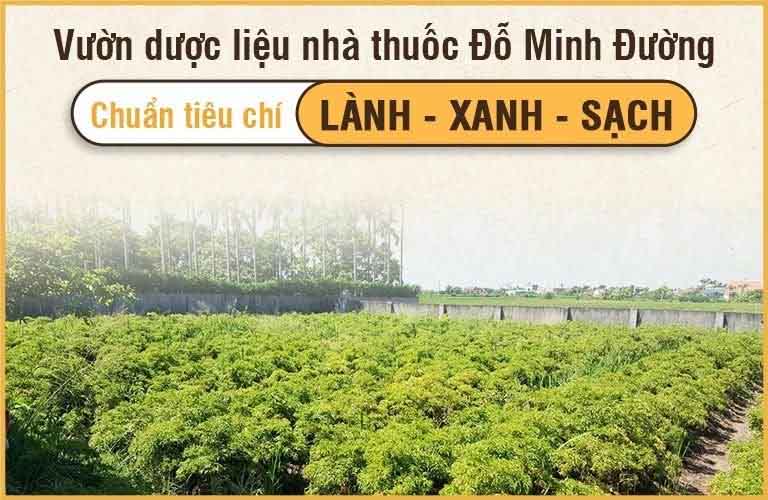 Đỗ Minh Đường tự phát triển các vườn dược liệu tại Hòa Bình, Hưng Yên, và Gia Lâm (Hà Nội)